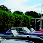 Schloss Dyck Classic Days mit Clubzelt des MG Car Club -ABGESAGT-